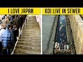 Photos That Prove Japan Is Different From The Rest Of The World