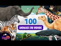 Collection de 100 animaux du monde  apprendre les noms et regarder les vidos des animaux 1