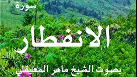 سورة الانفطار بصوت الشيخ /ماهر المعيقلي 82