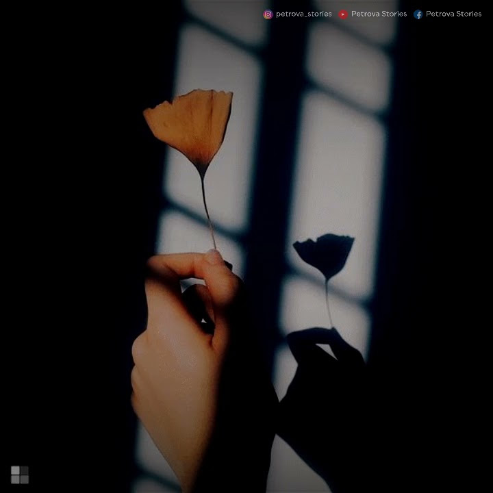 STATUS WA | VIDIO MUSIK GALAU | SEPERTI YANG KAU MINTA | Story Whatsapp TERBARU 2020 | #6