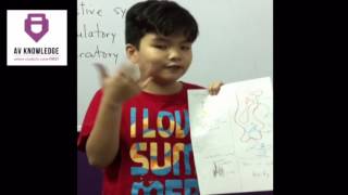 EMSI 3 - SYSTEM IN OUR BODY