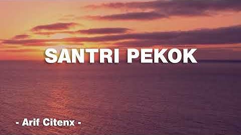 SANTRI PEKOK - Arif Citenx | Remix Ajeng DJ Gemoy ft. Pangeran Jandhut | Vidio Lirik