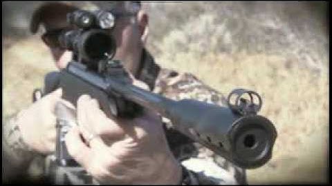 The Silent Airgun, Gamo Whisper VH