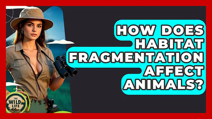 How Does Habitat Fragmentation Affect Animals? - The Wild Life Explorer