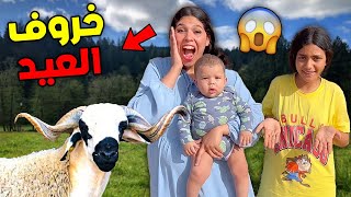 وأخيرا فاجأت عائلتي بخروف ملكي للعيد🐏أشكيتا تصدمات😲..❓