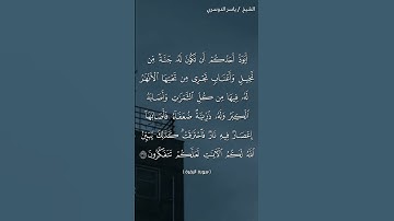 سورة البقرة (٢٦٦)/ياسر الدوسري