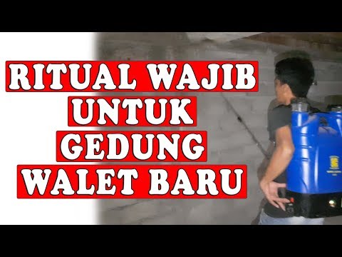 ritual-yang-tidak-boleh-kami-lewatkan-pada-gedung-walet-baru-agar-banyak-burung-walet-masuk