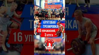 БЕСПЛАТНАЯ КРУГОВАЯ ТРЕНИРОВКА на ВЫНОСЛИВОСТЬ в клубе ЯРОПОЛК / 16 УПРАЖЕНИЙ и 2 КРУГА, 26.10.2025
