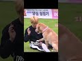 Members dog vs jins dog