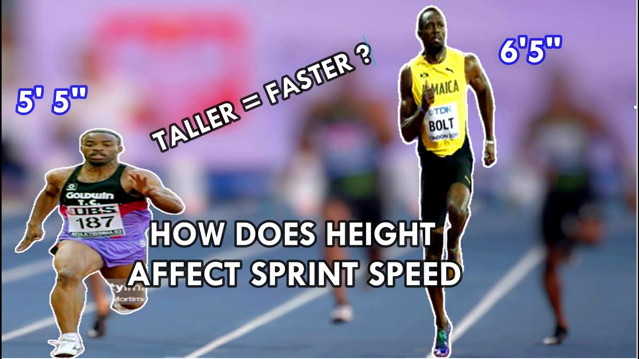 How Tall Are Olympic Sprinters?