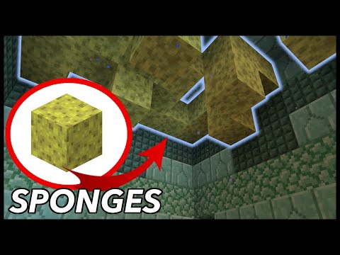 Video: Why Do You Need A Sponge In Minecraft