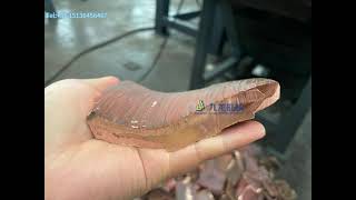 More than 10mm Thick Copper Plate Scrap Metal Double Shaft Shredder by Sherry Zhang 203 views 4 months ago 1 minute, 15 seconds