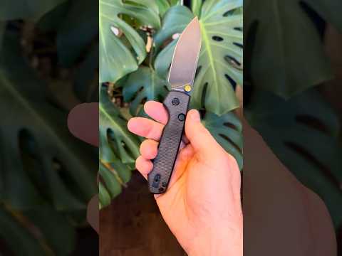 Vosteed Racoon Top Liner Lock Knife 14C28N Nested Micarta Yue Dong Drop Point 