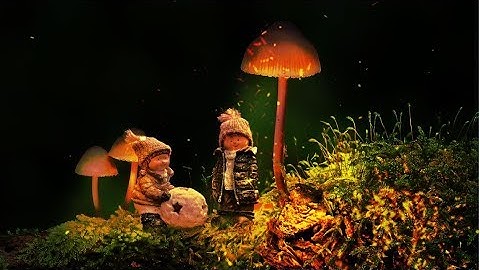 Glowing Mushroom - Photoshop Fantasy Manipulation Tutorial