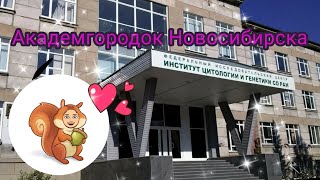 Академгородок Новосибирска