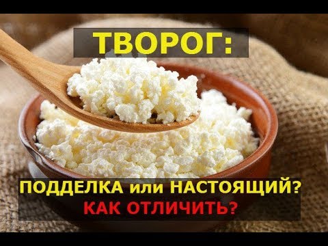 Как понять, испорчен ли творог