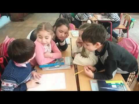 ჯგუფური მუშაობა