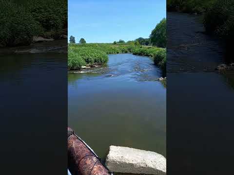 Video: Lopasnya (flod): beskrivelse og foto