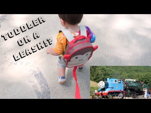 1st-time-trying-skip-hop-safety-harness-on-my-1-year-old!?|-thomas-and-friends-event!