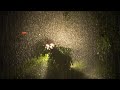 All You Need To Fall Asleep - Pure Rain and Thunderstorm Sounds for Deep Sleep - Heavy Rain Sleeping