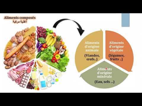 Vídeo: Les Dietes D’aliments Processats Per A Mascotes Tenen Més Probabilitats De Patir Càncer?