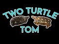 Egyptian tortoises and more with ralph till
