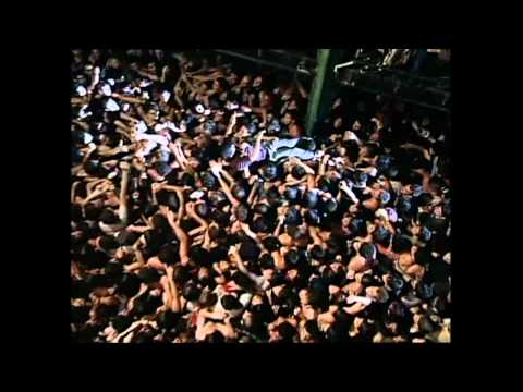Die Toten Hosen: All die ganzen Jahre (Live in Buenos Aires; DVD 