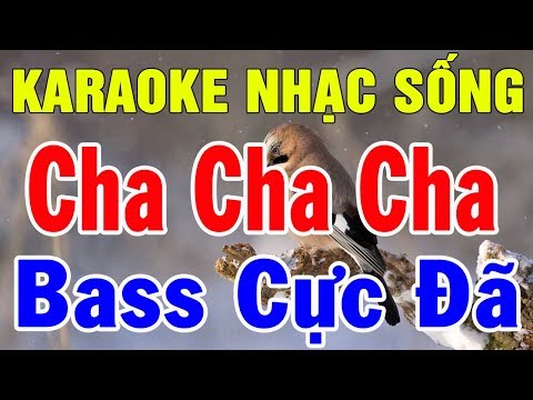 Liên Khúc Karaoke Chachacha - Karaoke Liên Khúc Cha Cha Cha Thôn Quê | Nhạc Sống Trữ Tình Hòa Tấu | Trọng Hiếu