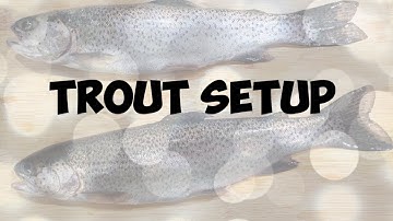 Trout Setup  "Carolina Rig" Catch More Trout!