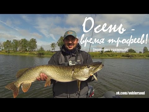 Ловля крупной щуки осенью. Джиг - спиннинг в сентябре. Видео отчет от 1 сентября 2016. Ловля крупной щуки осенью. Джиг - спиннинг в сентябре. Видео отчет от 1 сентября 2016.