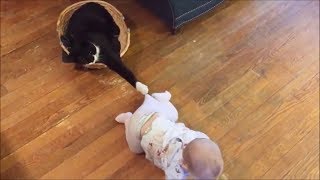 En Eğlenceli Kedi Ve Bebek Videoları Komik Kediler Ve Bebekler Baby And Cat Fun Funny Baby Video