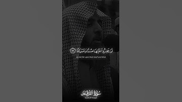 "والذين لا يشهدون الزور" | تلاوة خاشعة من سورة الفرقان بصوت محمد اللحيدان