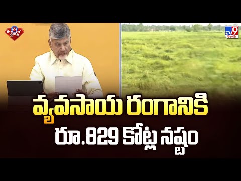 వ్యవసాయ రంగానికి రూ.829 కోట్ల నష్టం : CM Chandrababu | Cyclone Montha Effect - TV9 - TV9