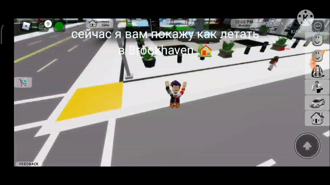 роблокс картинка игры. как летать в брукхейвен. коды в брукхейвен роблокс. гонки роблокса. коды чтобы летать в брукхейвен.
