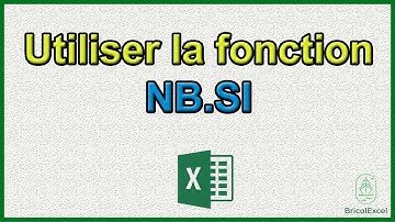 Comment utiliser la fonction NB.SI sur Excel
