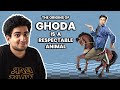 GHODA IS A RESPECTABLE ANIMAL COMPILATION ft. @Biswa Kalyan Rath