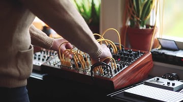 Eurorack Drone - Mangrove, Marantz, Magneto, Monsoon