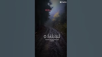 Surat Al-'Ikhlas (The Sincerity) | Islamic Page For You | | سورة الإخلاص #qurantilawat #surahekhlas