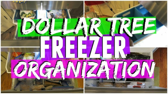 Deep Freezer Organization w/ Dollar Tree Bins 