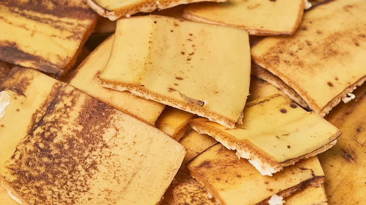 Don't Throw Out Your Banana Peels. Bury Banana Peels in Your Garden and Watch What Happens.