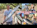 GRABE MALAKING TANIGUE ANG HULI NI TITO ENTOY | IDINILIVER NAMIN ANG HULI NI JUNJUN NA MGA ISDA 