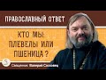 КТО МЫ : ПЛЕВЕЛЫ ИЛИ ПШЕНИЦА ?  Священник Валерий Сосковец