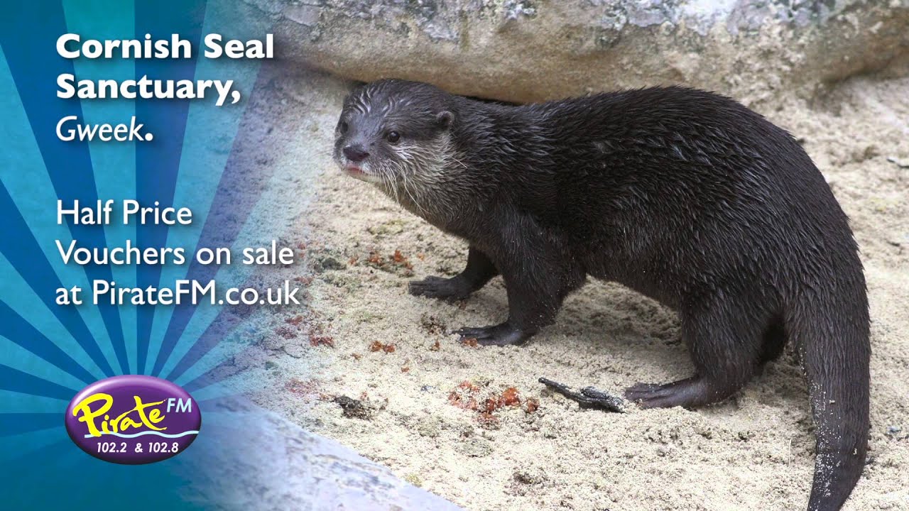 half-price-days-out-the-cornish-seal-sanctuary-ft-octonauts-youtube