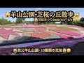 【絶景4k】🙀芝桜まつり2026(4/3~5/8)・10種類の芝桜😱羊山公園😆埼玉県秩父市😳(25m25s)🤣BGM:#riokazumiのピアノ語り