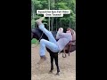 Equestrian Epic Fail: Rider Gets Tossed!
