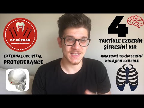 4 TAKTİKLE EZBERİN ŞİFRESİNİ KIR,ANATOMİ TERİMLERİNİ KOLAY EZBERLEME