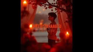 bheegi si bhaagi si lofi mix