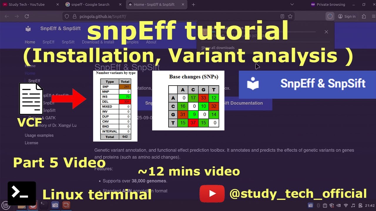 snpEff tutorial | Installation | variant calling 