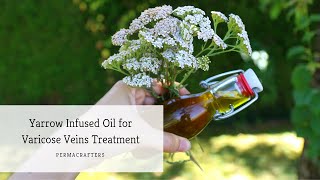 🌿 Yarrow Infused Oil for Varicose Veins Treatment🦵