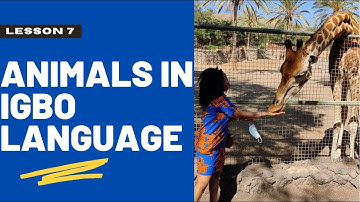 Igbo lesson 7 - Names of animals in #igbo language for beginners | #Fuerteventura Oasis Wildlife